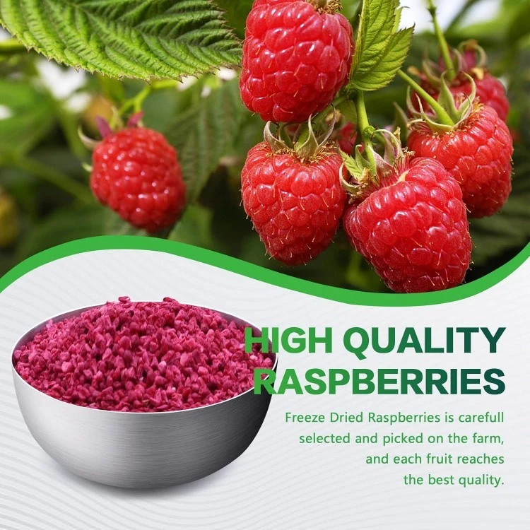 Freeze Dried Fruit
